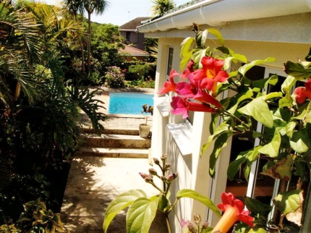 side view to swimming pool